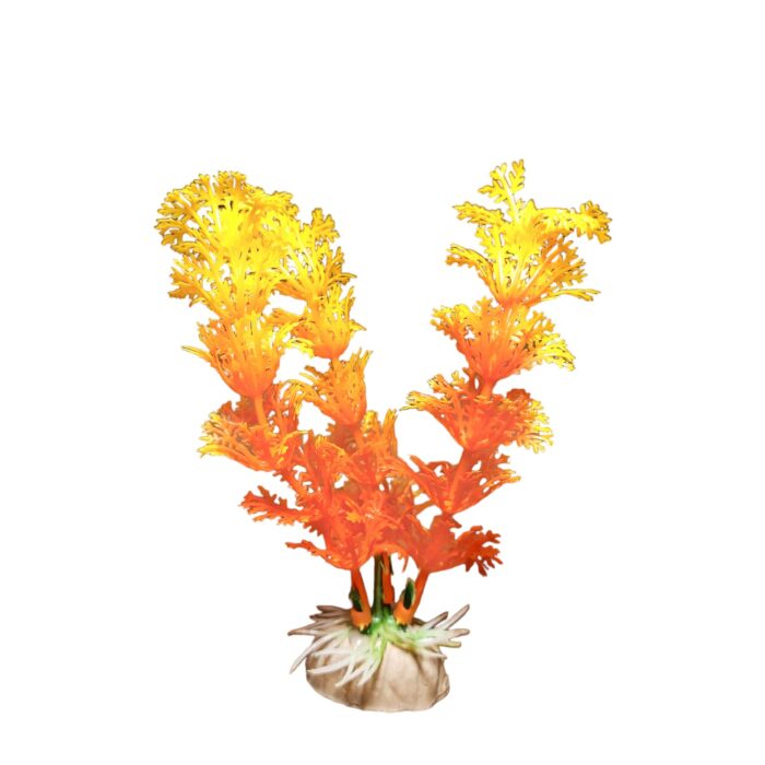 Dekopflanze orangene Koralle